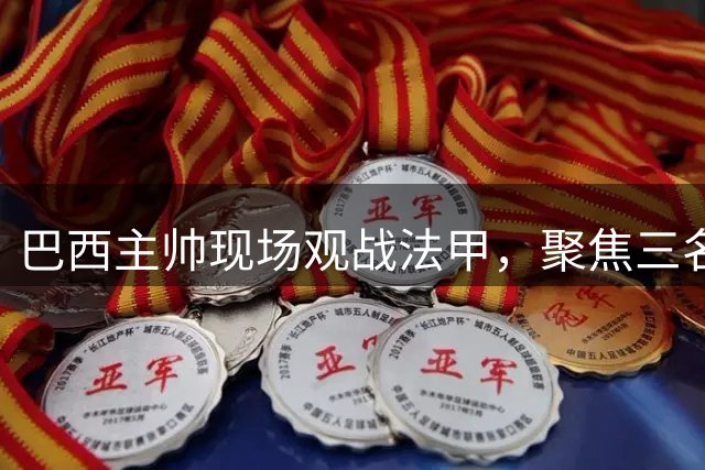 巴西主帅现场观战法甲，聚焦三名巴西国脚表现